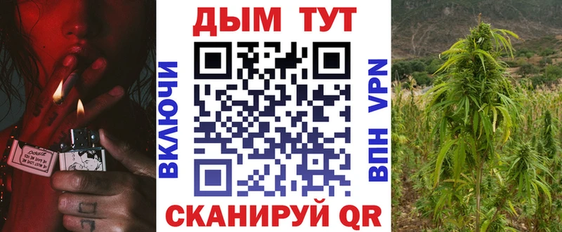 Бошки Шишки SATIVA & INDICA  Купить  Медногорск 
